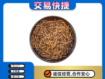 临沭县礼品回收虫草.jpg